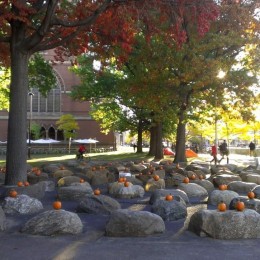 The plaza outside of the Innovation Lounge, a wonderful gathering spot on a beautiful fall day
