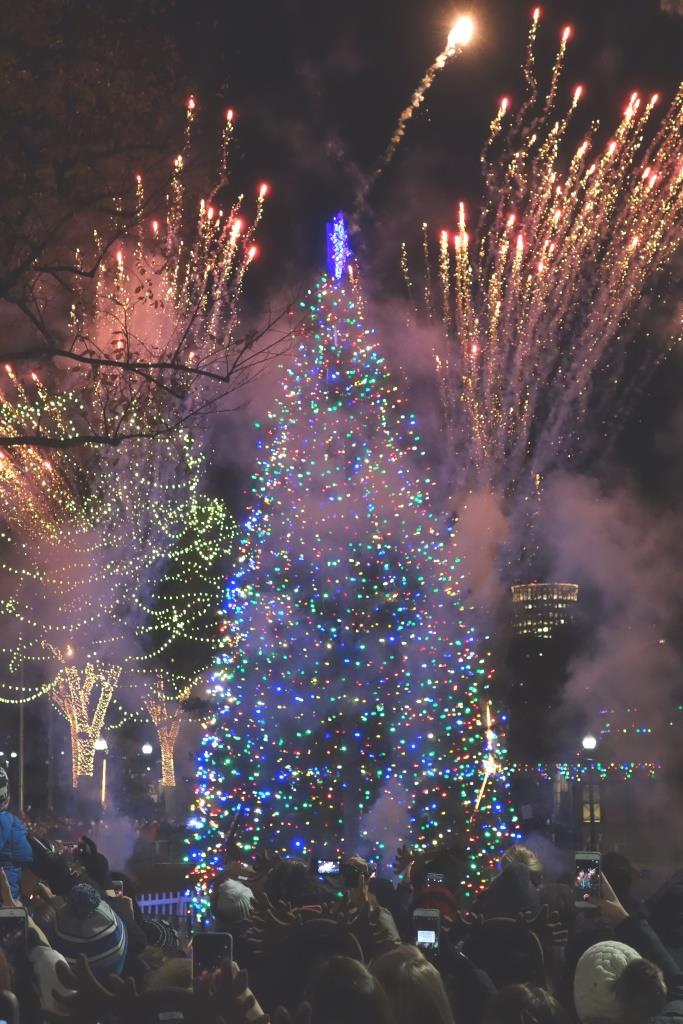 Boston Common Christmas Tree Lighting YP social events kickoff GABC